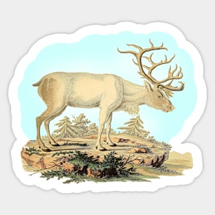 Reindeer Nature Illustration Sticker